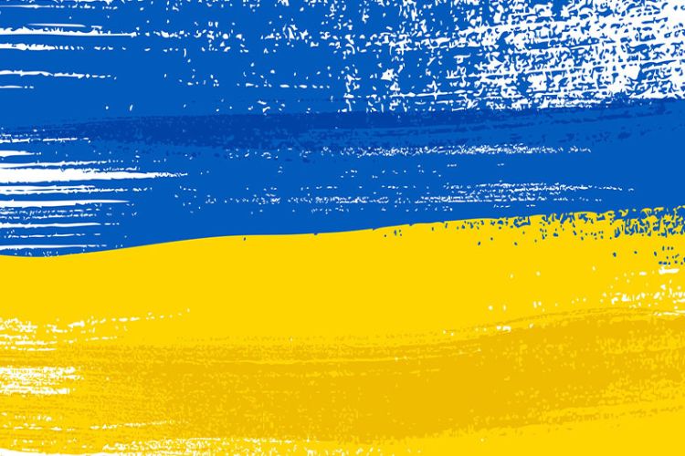 Выполняя отдельные функции украинского консульства